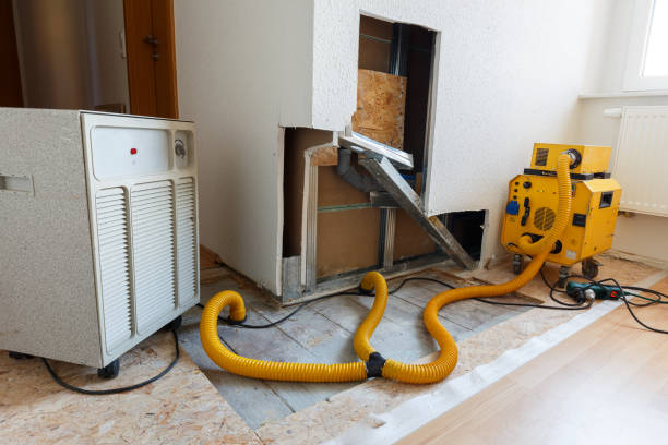 Mold Remediation for Vacation Homes in Centerville, IN