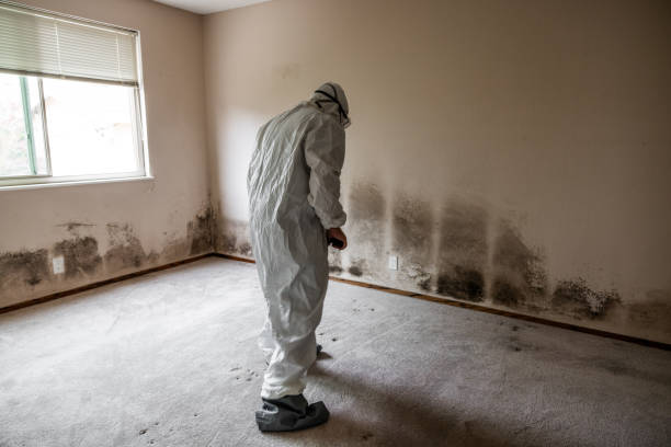 Mold Remediation for Rental Properties in Centerville, IN